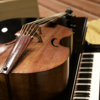 Viola da Gamba – Basso, 6-kielinen